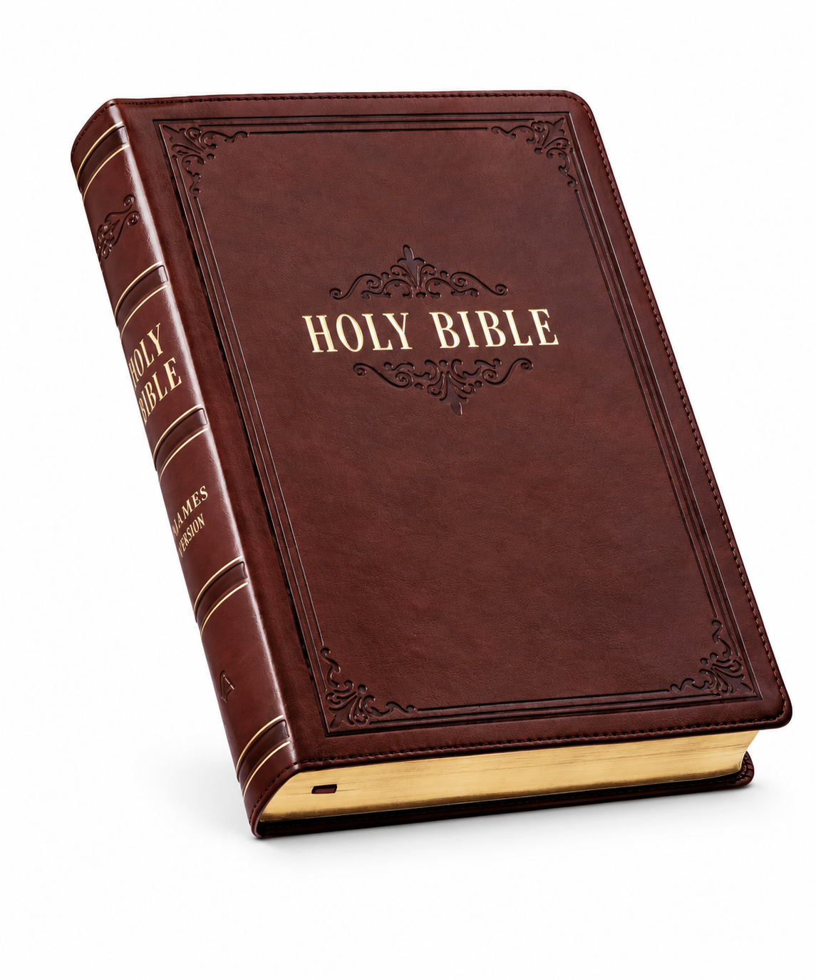 KJV Holy Bible, Giant Print